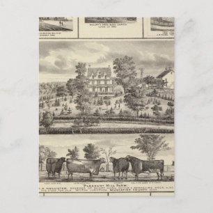Pleasant Backe Farm bldgs i Decorah Vykort