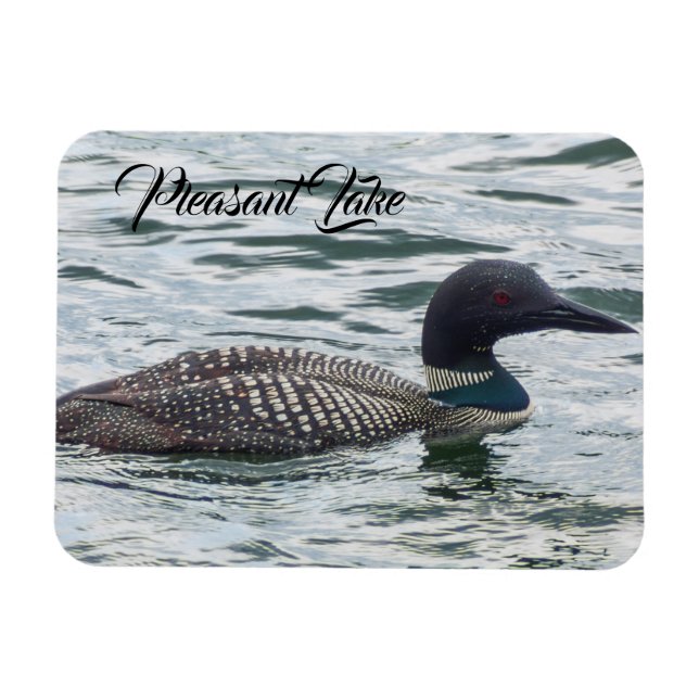 Pleasant Sjö Loon Magnet (Horisontell)
