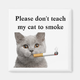 Please undervisar inte min katt att röka magnet