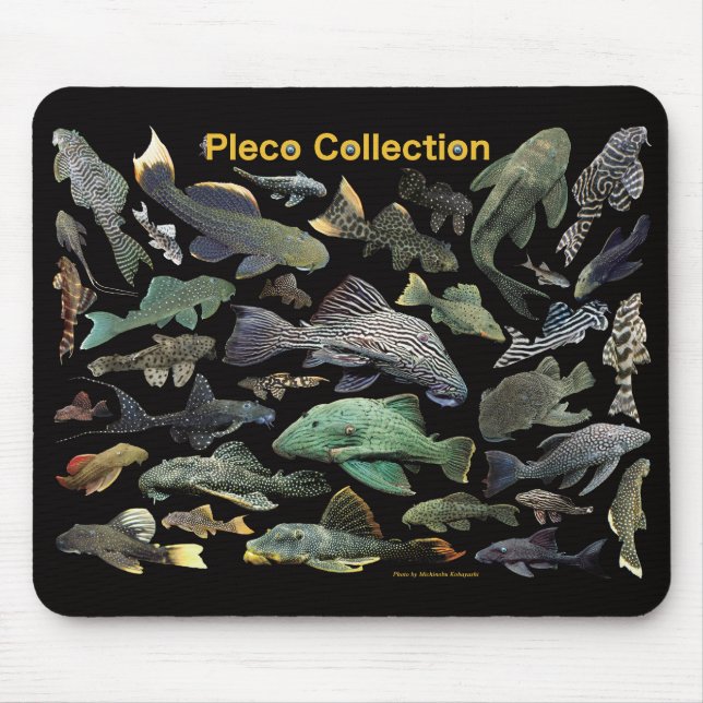 Pleco collection musmatta (Framsidan)