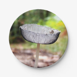 Pleed Inkcap Mushroom Papprare Tallrikar