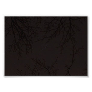 Pleiades (M45) Fototryck