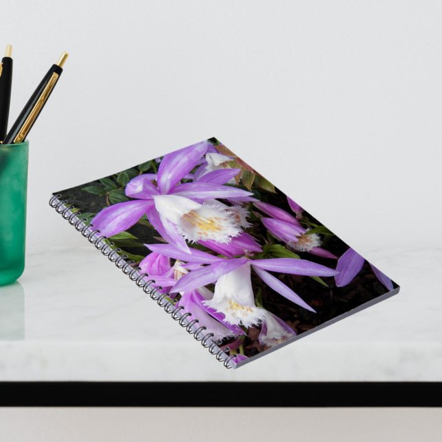 Pleione Windows sill Orchids Blommigt Anteckningsbok (In Situ)