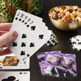 Pleione Windows sill Orchids Blommigt Casinokort