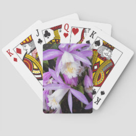 Pleione Windows sill Orchids Blommigt Casinokort