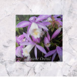 Pleione Windows sill Orchids Blommigt Kakelplatta<br><div class="desc">För härligt Orchid fläkt! Keramiskt plattor som har en fotobilds lila och vita Pleione Orchid-blommor,  även kallade Windows sill Orchids. En underbar,  blommigt design! Markera din ruta storlek. Gör en underbar kökstrivet!</div>