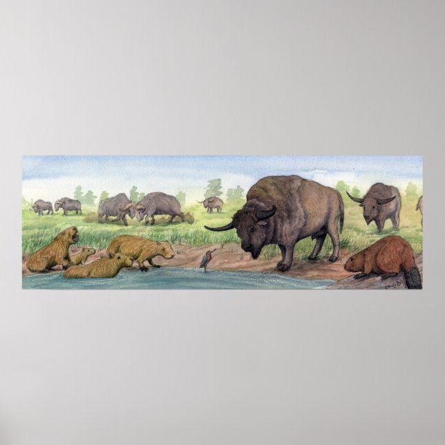 Pleistocene Texas Poster (Framsidan)