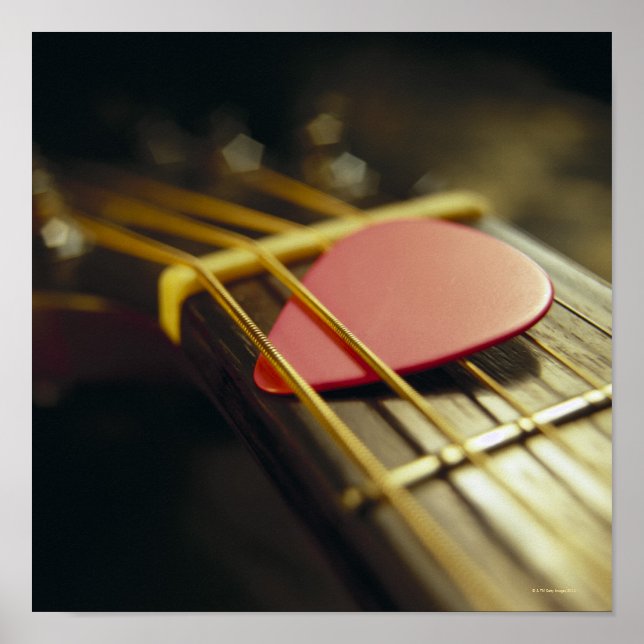 plektrum poster (Framsidan)