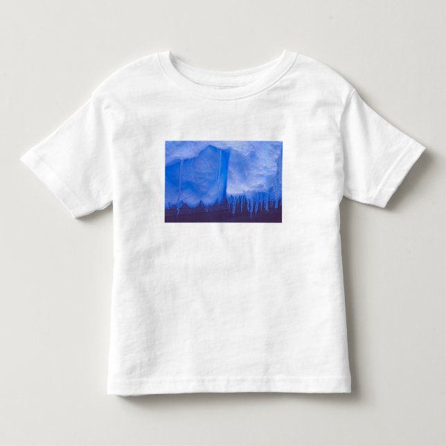Pleneau Isbergkyrkogård, Antarktis: Blå Tee Shirt (Framsida)