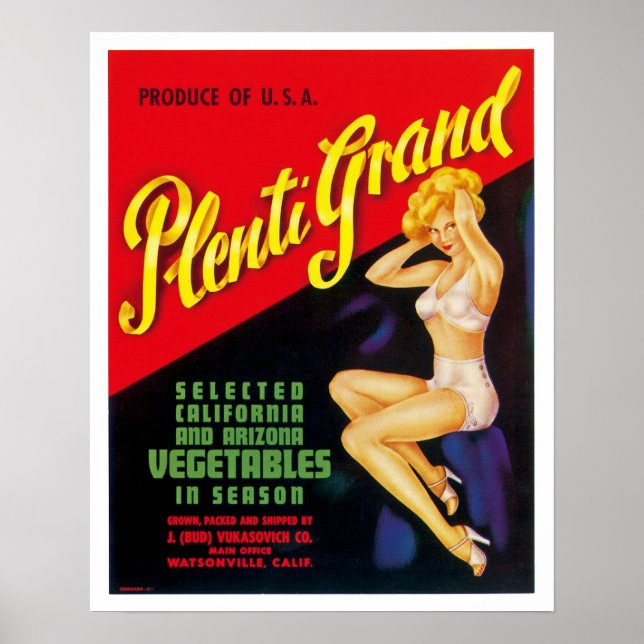 Plenti Grand Poster (Framsidan)