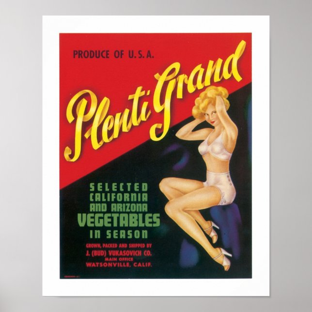 Plenti Grand Poster (Framsidan)