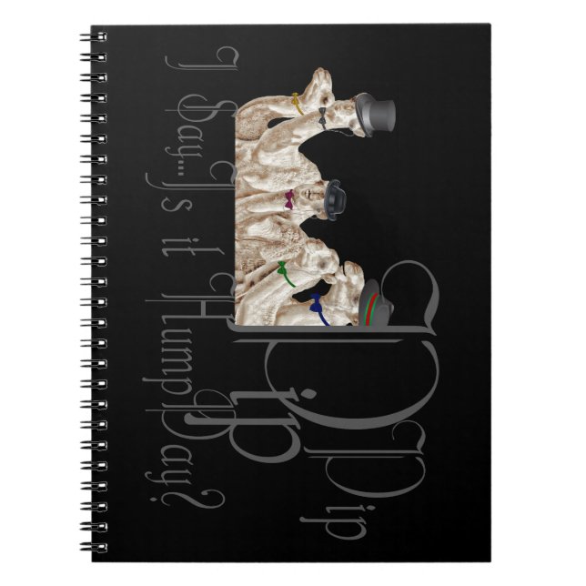 Plenum i Monocles Anteckningsbok (Framsidan)