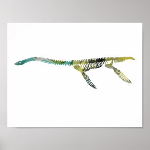 plesiosaur skelett poster