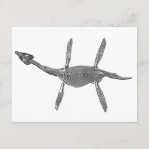 Plesiosaurus Skeleton Antique Skriv ut Vykort
