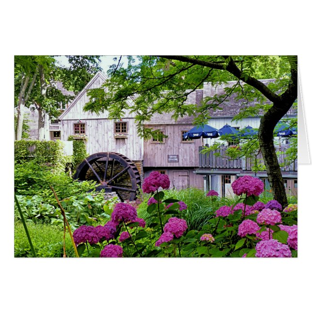 Plimoth Grist Mill i Jenney Pond på sommaren Hälsningskort (Framsidan Horizontal)