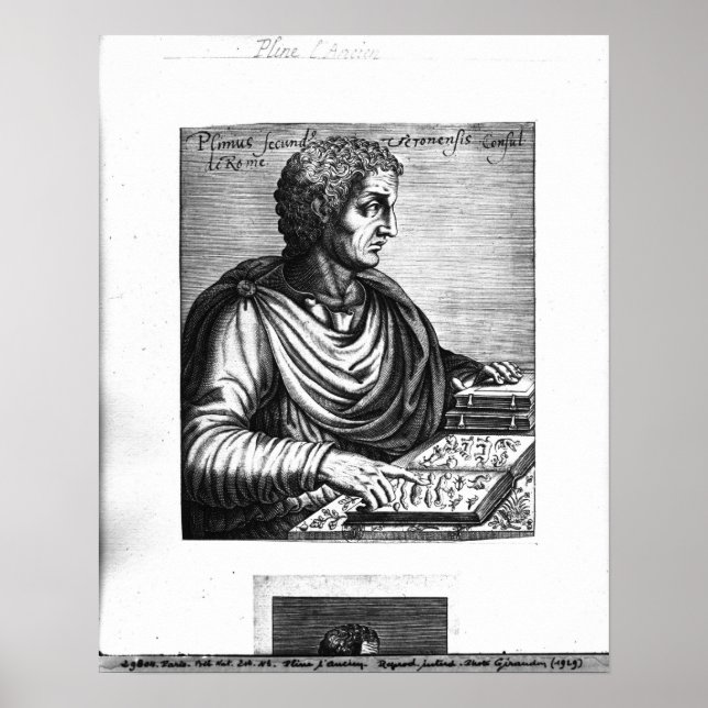 Pliny the Elder Poster (Framsidan)