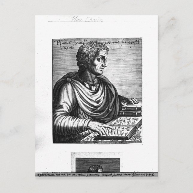 Pliny the Elder Vykort (Framsida)