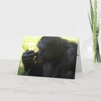 Plocka en vinnare tack kort