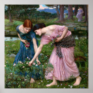 Plocka era rosor av John William Waterhouse Poster