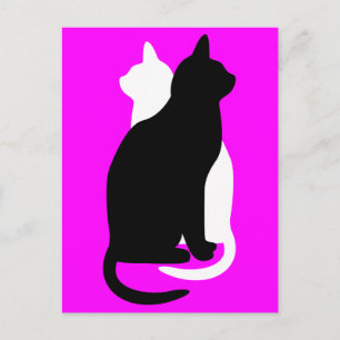 Plocka Färg Black White Cat Duo Yin Yang Stil Vykort