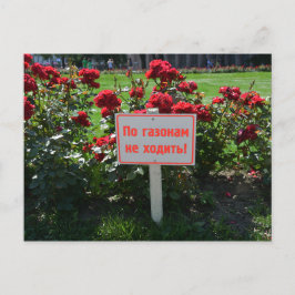 Plocka inte blommorna, S:t Petersburg, Ryssland Vykort