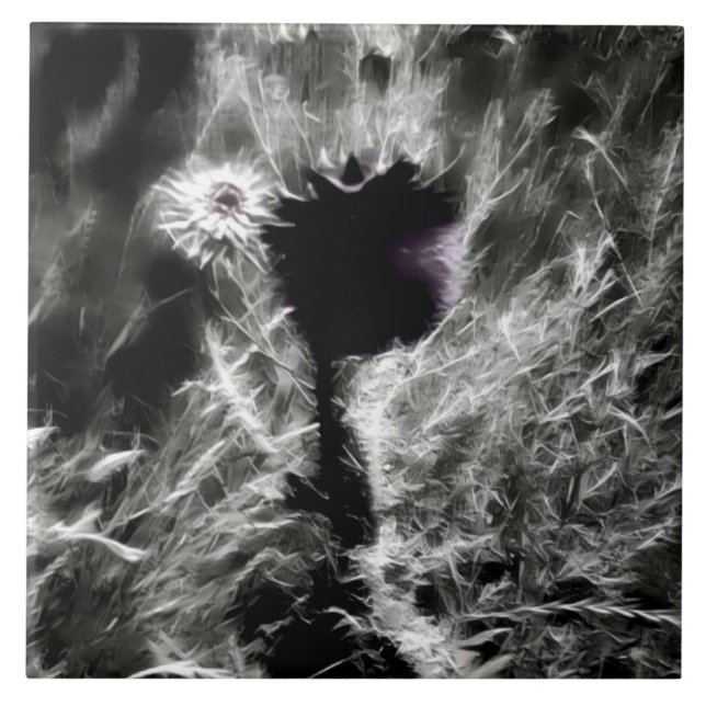 Plocka mig kakelplatta (Framsidan)