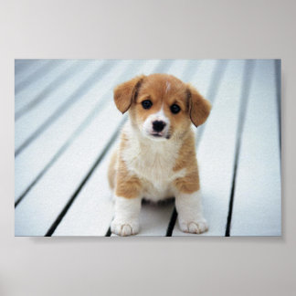 PLOCKA PÅ NÅGON DIN EGEN STORLEK POSTER