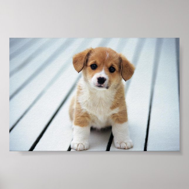 PLOCKA PÅ NÅGON DIN EGEN STORLEK POSTER (Framsidan)