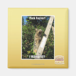 Plocka snabbare! magnet