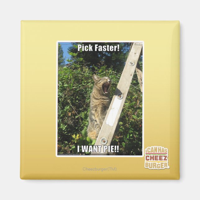 Plocka snabbare! magnet (Framsidan)