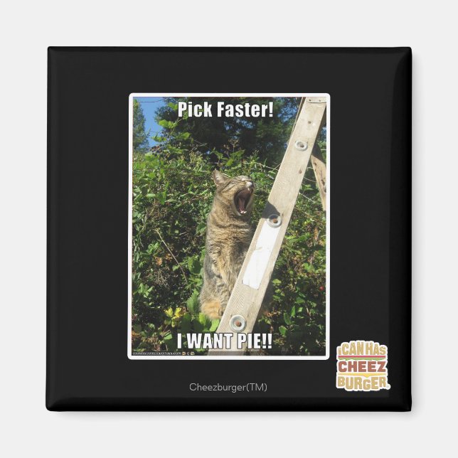 Plocka snabbare! magnet (Framsidan)