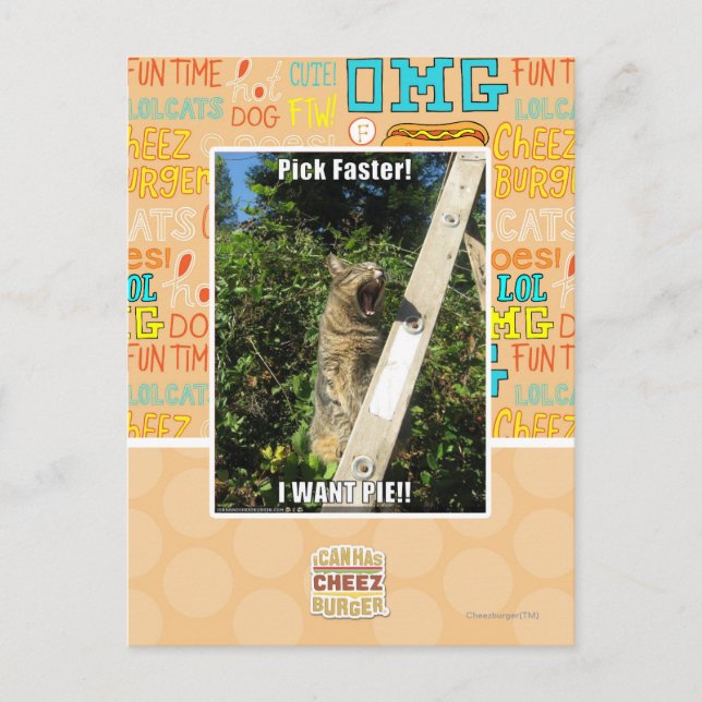 Plocka snabbare! vykort (Framsida)