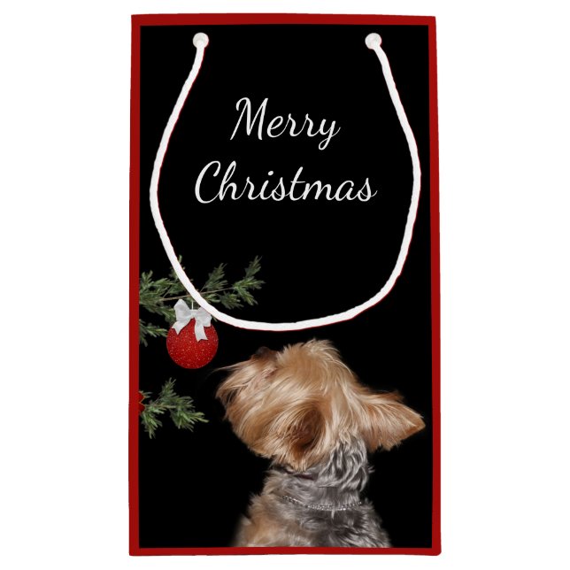 Plockad Yorkie-jul (Baksidan)