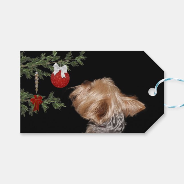 Plockad Yorkie-jul Presentetikett (Framsidan (Horisontell))