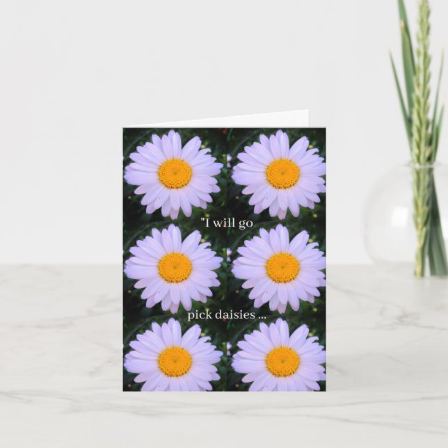 Plockade Daisy Flower Foled Greeting Card Kort (Framsida)