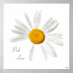 Plockakärlekdaisy Poster
