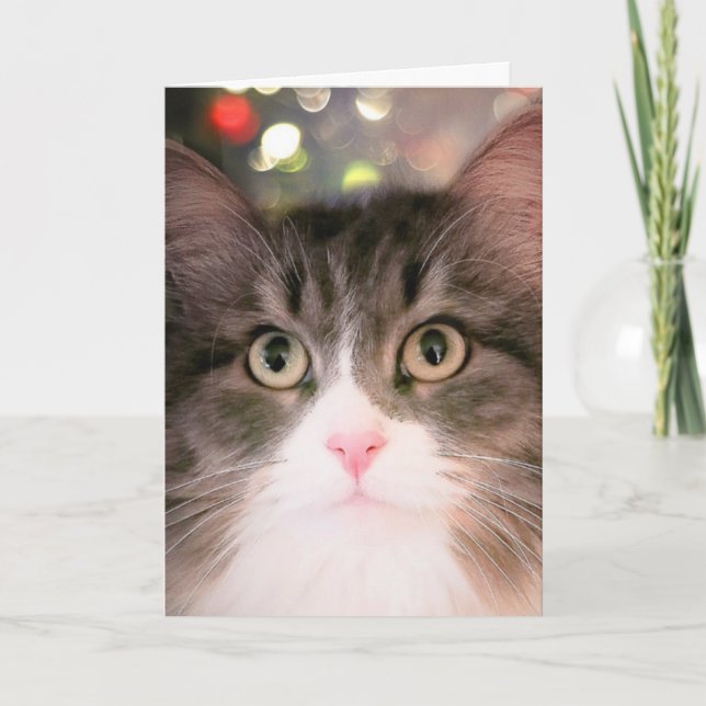 Plockande Önskemål för jul (julkort) Helgkort (Framsida)