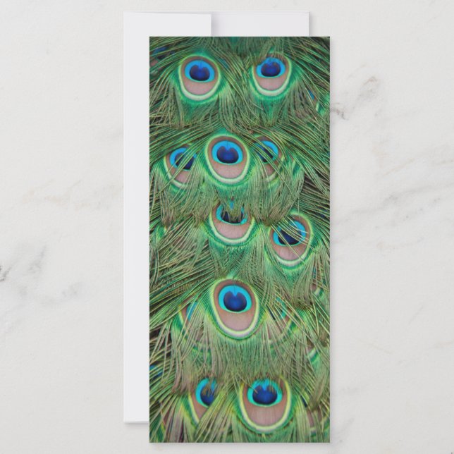 Plockbete (Framsida)