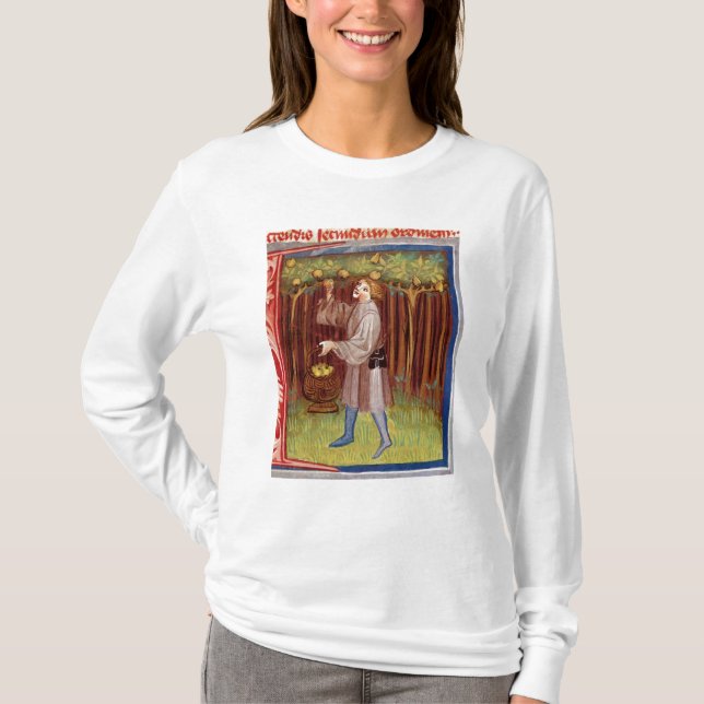 Plockningfrukt T-shirt (Framsida)