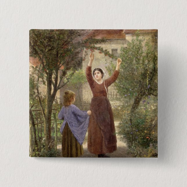 Plockningkörsbär Knapp (Framsida)