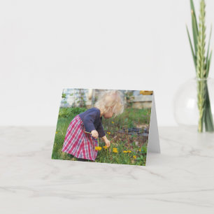 Plockningmaskrosor Notecards Kort