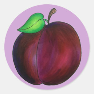 Plommon Ripe Sommar Lila Plum Fruit Illustration Runt Klistermärke