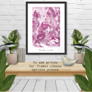 Plommon Vintage Struts Illustration Struthio camel Poster