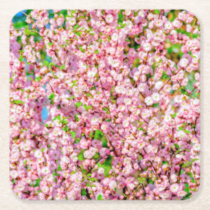 Plommonblomning Underlägg Papper Kvadrat