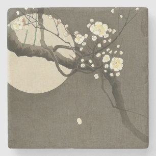 Plommonet blomstrar på natten vid den Ohara Koson Stenunderlägg