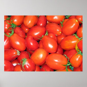 Plommontomater Poster
