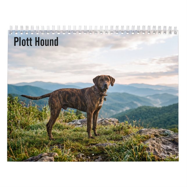 Plott Hound 2027 Väggkalender Kalender (Omslag)