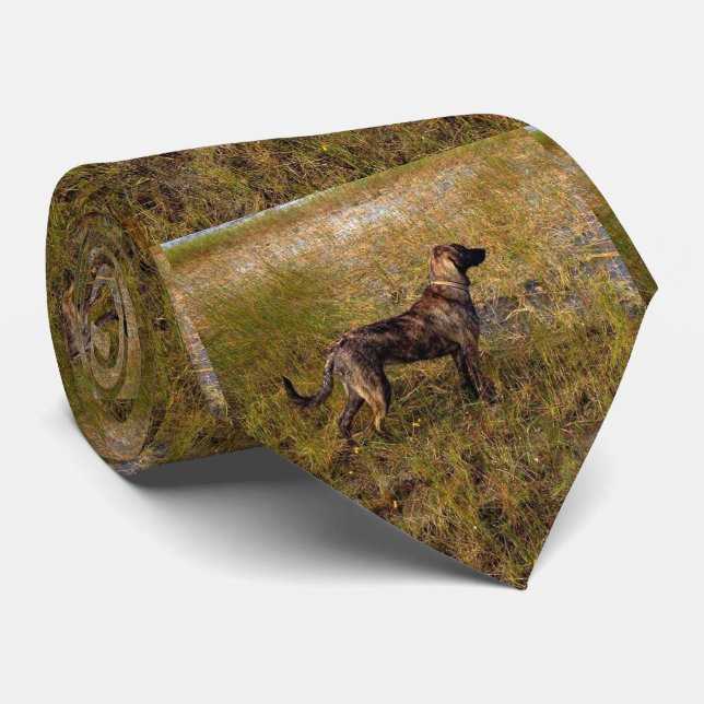 Plott Hound Hund Hunting Hunting Tie Slips (Rullad)