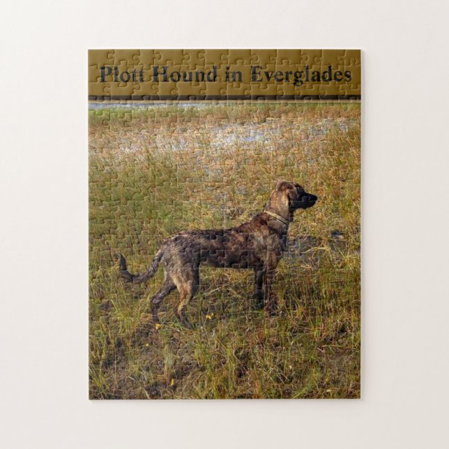 Plott Hound i Everglades Florida Pussel (Vertikal)