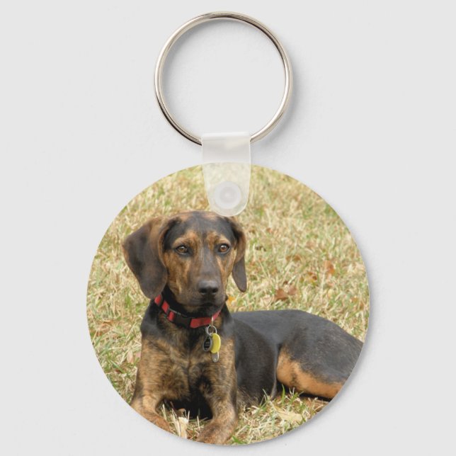 Plott Hound Nyckelring (Framsida)